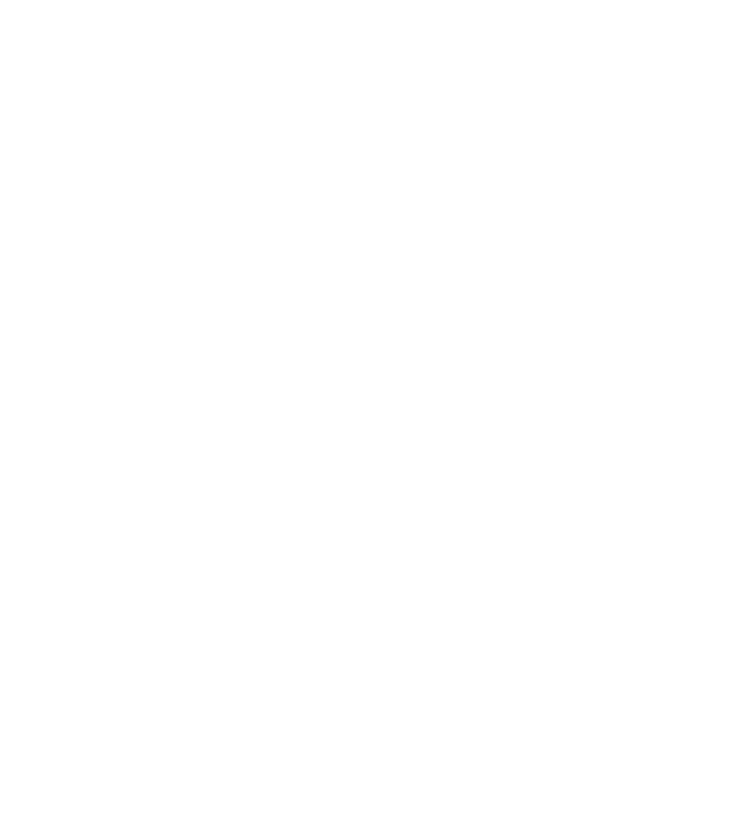 VEGAN OR DEATH